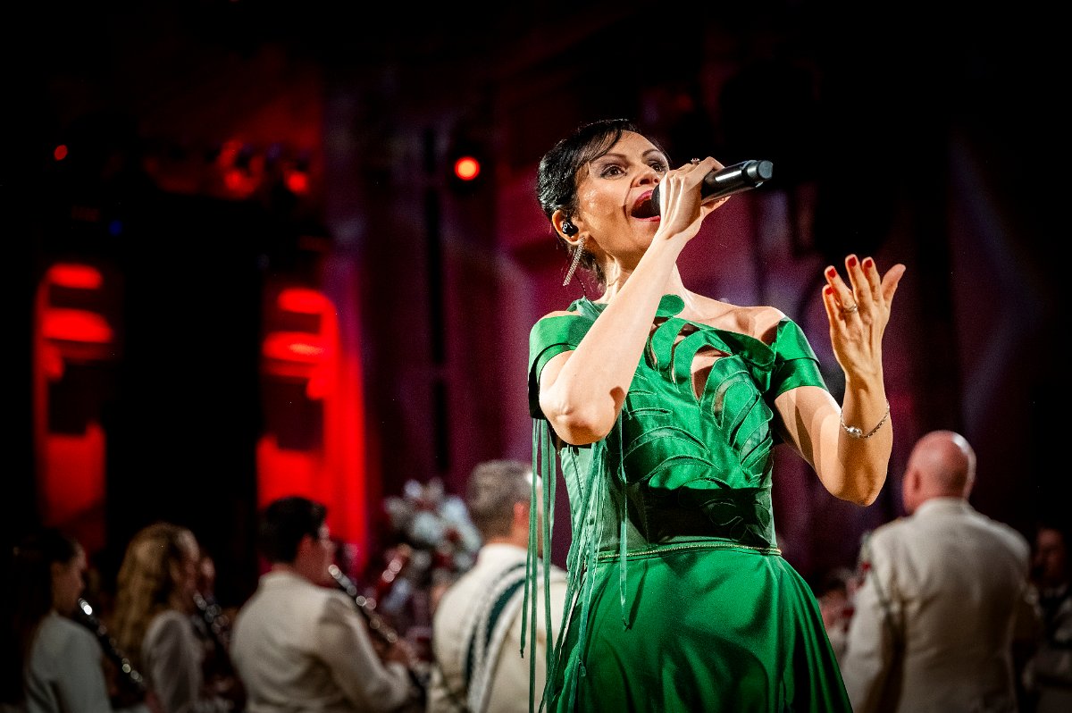 20. _car0123_54274988881_o